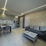 Seagull