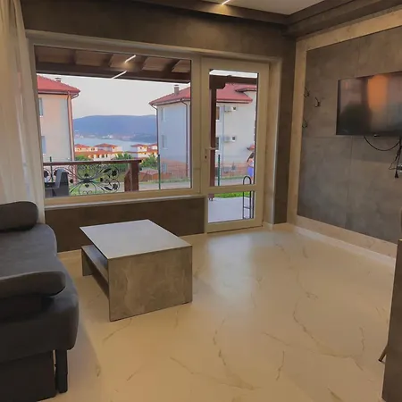 Seagull * Byala (Varna)