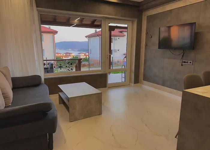 Seagull * ביאלה